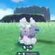A Goomy gets a bath.